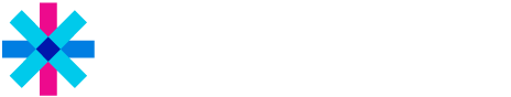 Toluna Logo